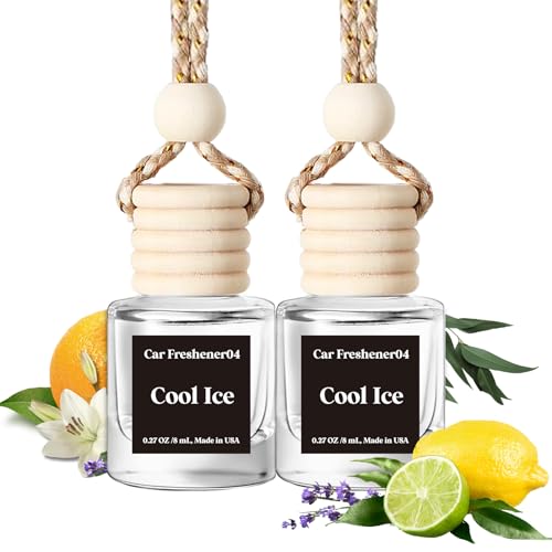 Burst Bird Car Air Freshener Hanging, Black Ice Fragrance Oil Air Diffuser for Car, Long Lasting Car Air Fresheners, Made in USA (2 Pack)