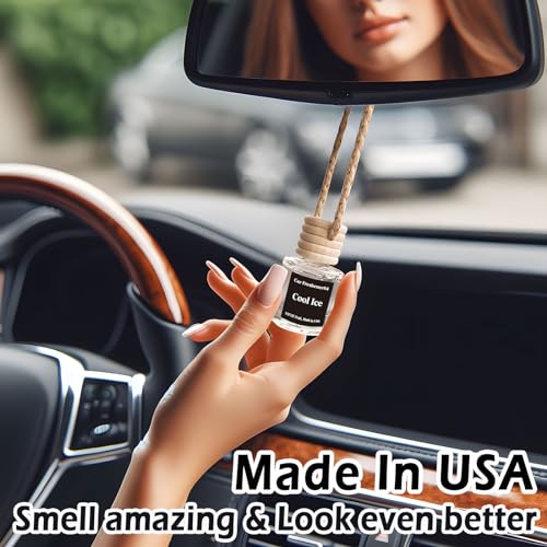 Burst Bird Car Air Freshener Hanging, Black Ice Fragrance Oil Air Diffuser for Car, Long Lasting Car Air Fresheners, Made in USA (2 Pack)