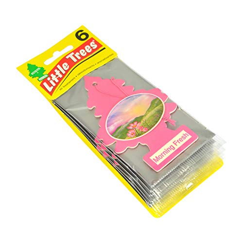 LITTLE TREES Car Air Freshener | Hanging Paper Tree for Home or Car | Morning Fresh | 6 Pack