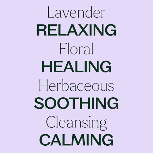 Plant Therapy Lavender Essential Oil 100% Pure, Pre-Diluted Roll-On, Natural Aromatherapy, Therapeutic Grade 10 mL (1/3 oz)