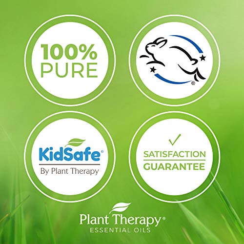 Plant Therapy KidSafe Feelin' Good Essential Oil Blend Set, Includes: Germ Destroyer, Immune Boom, Sniffle Stopper 100% Pure, Pre-Diluted Roll-Ons, Natural Aromatherapy 10 mL (1/3 oz)