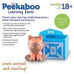 Peekaboo Learning Farm Toy Set for Toddlers