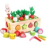 Montessori Wooden Shape Sorting Toys for Toddlers