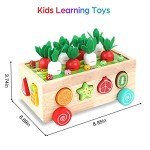 Montessori Wooden Shape Sorting Toys for Toddlers