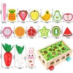 Montessori Wooden Shape Sorting Toys for Toddlers