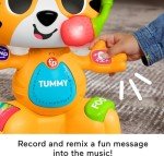 Fisher-Price Bop & Groove Tiger Learning Toy