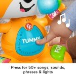 Fisher-Price Bop & Groove Tiger Learning Toy