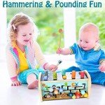Kidwill Wooden Hammering Toy for Toddlers