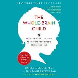 Whole-Brain Child: 12 Strategies for Growing Minds