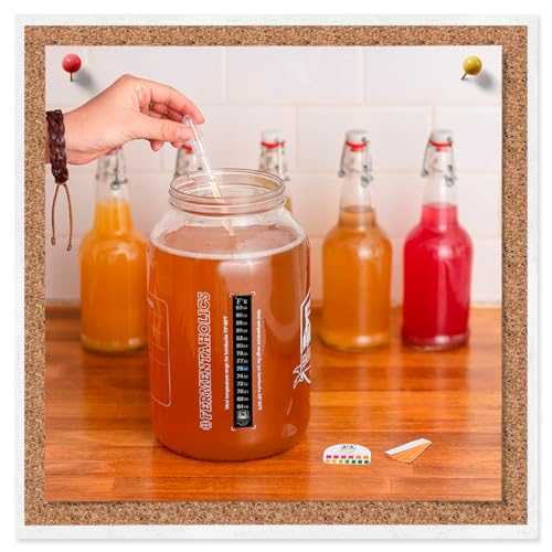 Thermometer for Kombucha, Beer, and Wine Fermentation