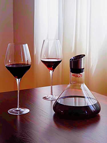 Smaier Handmade Red Wine Carafe with Aerator Filter