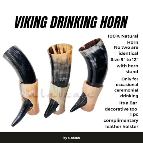 Viking Drinking Horn Set with Stand - 10oz