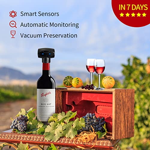 Electric Wine Vacuum Pump with Stopper Sealer