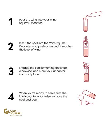 Luxury Wine Saver Decanter - Keeps Wine Fresh