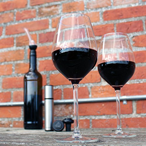 Red Wine Aerator and Saver with Stoppers