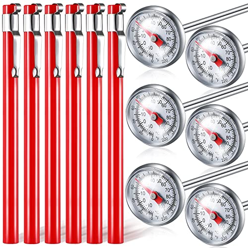 Stainless Steel Food Thermometer for Cooking & Frothing