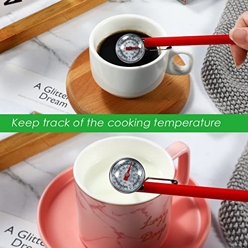 Stainless Steel Food Thermometer for Cooking & Frothing