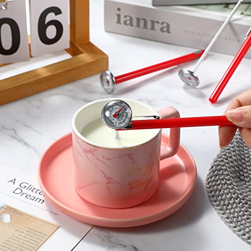 Stainless Steel Food Thermometer for Cooking & Frothing