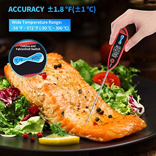 Digital Liquid Thermometer with Long Waterproof Probe