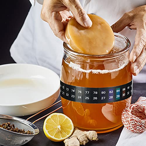 Stick-On Temperature Display for Wine Fermentation