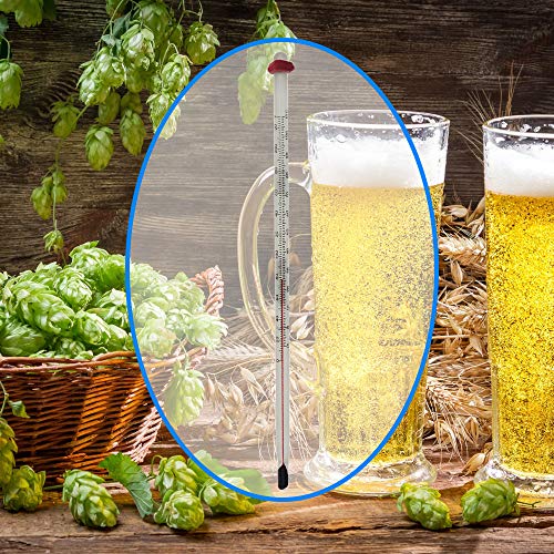 Glass Thermometer for Wine and Beer Brewing