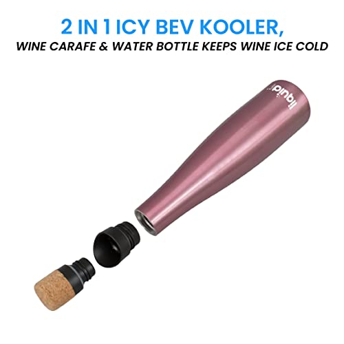 Icy Bev 2-in-1 Wine Bottle & Carafe