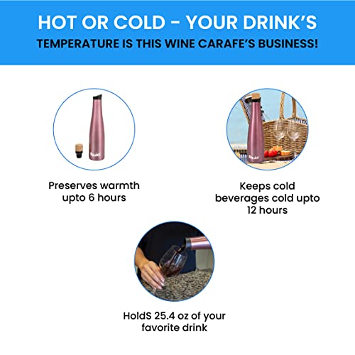 Icy Bev 2-in-1 Wine Bottle & Carafe