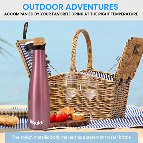 Icy Bev 2-in-1 Wine Bottle & Carafe