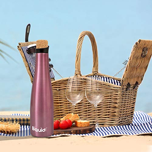 Icy Bev 2-in-1 Wine Bottle & Carafe