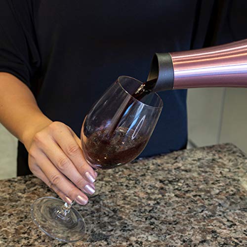 Icy Bev 2-in-1 Wine Bottle & Carafe
