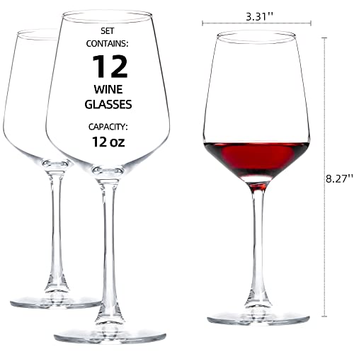12-Piece HAKEEMI Clear Stemmed Wine Glasses