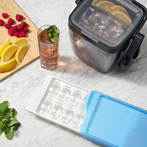 Double Wall Ice Bucket with Tongs & Tray