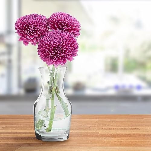 Cornucopia Wine Carafes - 6 Pack 6.5oz