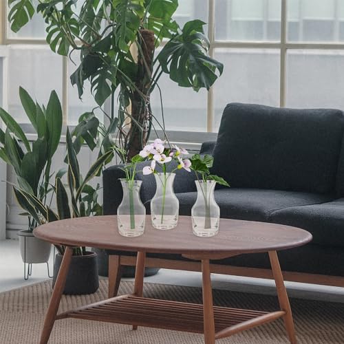 Cornucopia Wine Carafes - 6 Pack 6.5oz