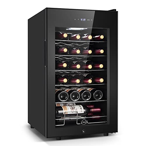 Tylza 24 Bottle Wine Fridge with Lock
