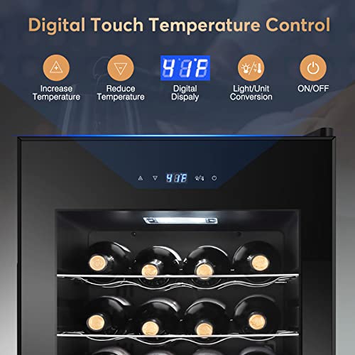 Tylza 24 Bottle Wine Fridge with Lock