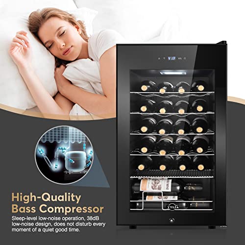 Tylza 24 Bottle Wine Fridge with Lock