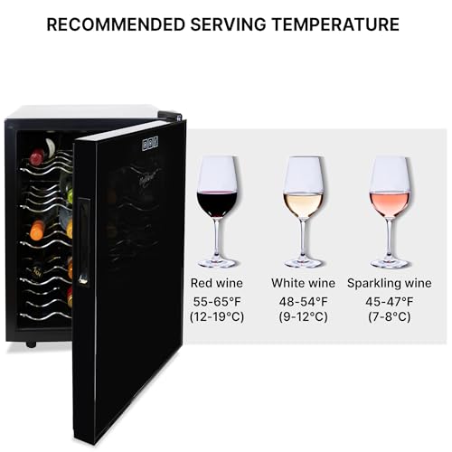 Black Freestanding Wine Fridge for 20 Bottles