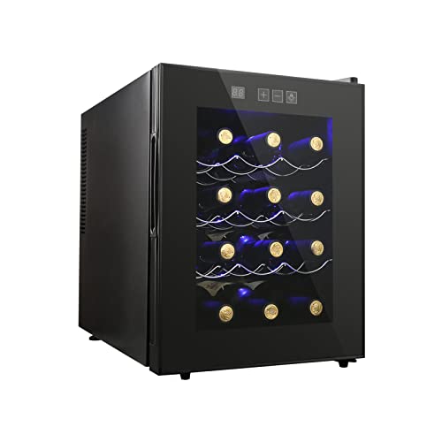 Compact 12-Bottle Wine Fridge with Digital Control