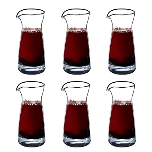 Mini Wine Decanter Set for Entertaining