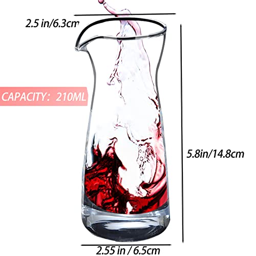 Mini Wine Decanter Set for Entertaining
