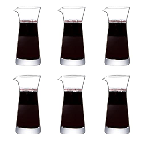 Mini Wine Decanter Set for Entertaining