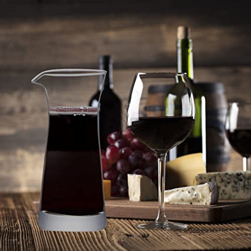 Mini Wine Decanter Set for Entertaining
