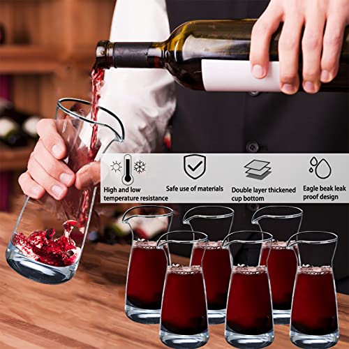 Mini Wine Decanter Set for Entertaining