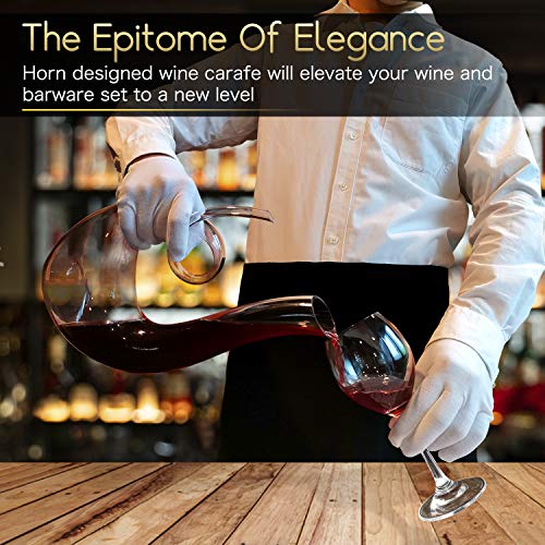 Swan shaped wine decanter and carafe