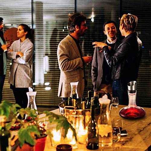 Crystal Wine Decanter with Built-In Aerator/Pourer