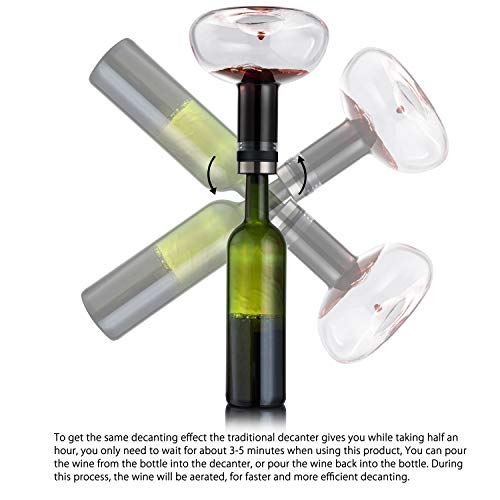 Hand-Blown Wine Decanter Set with Aerator and Stand
