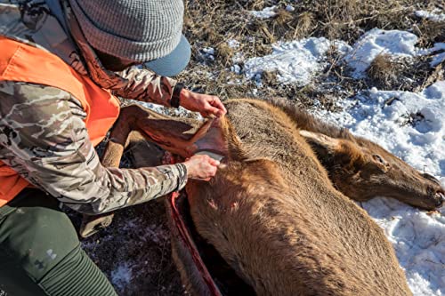 Gerber Gear Downwind Ulu Knife with Sheath