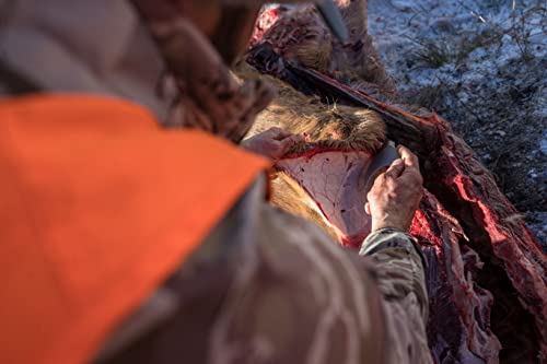 Gerber Gear Downwind Ulu Knife with Sheath