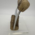 Alaska ULU Skinning Knife with Bone Handle
